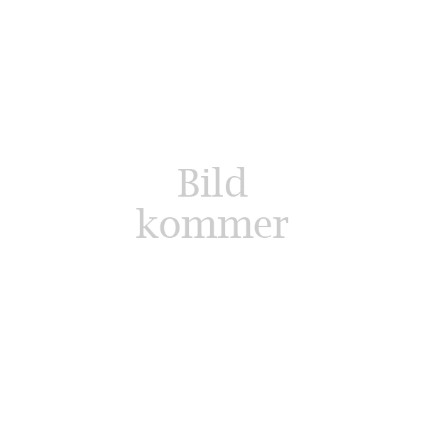 bild-kommer.jpg (2)