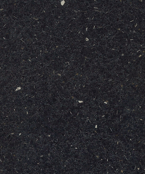 Flash Black