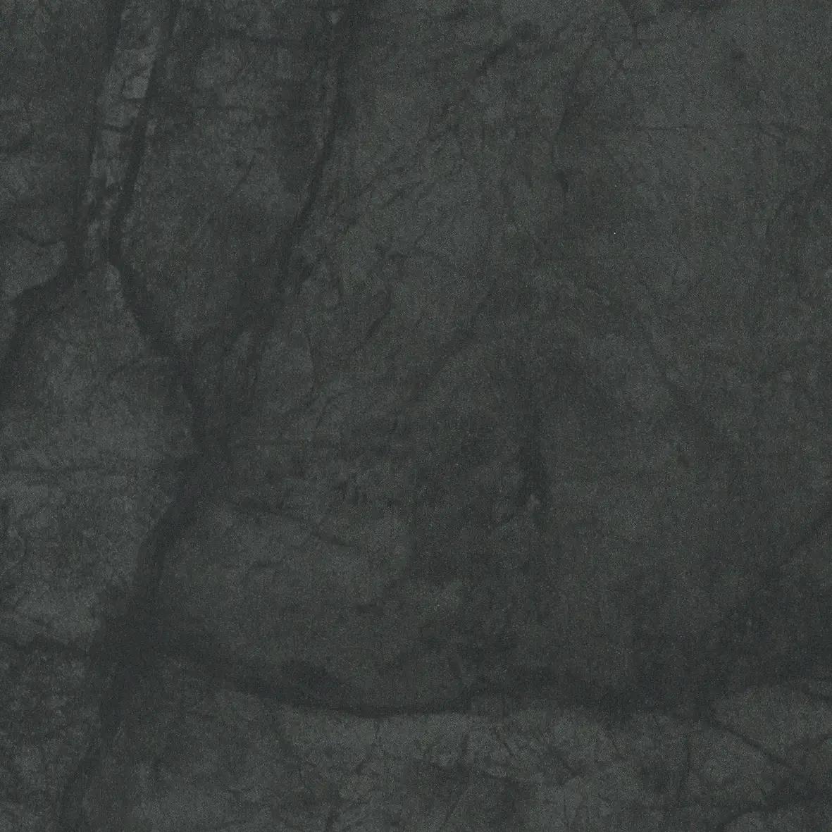 Svart Kaviar 3037 EASY