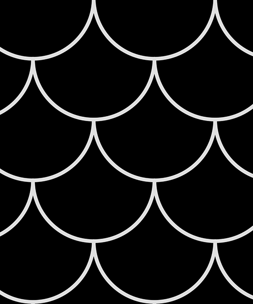 Fjäll Svart Web (1)