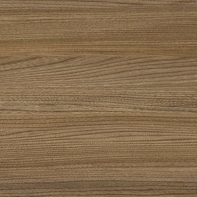 2026 Salisbury Elm Grey Web