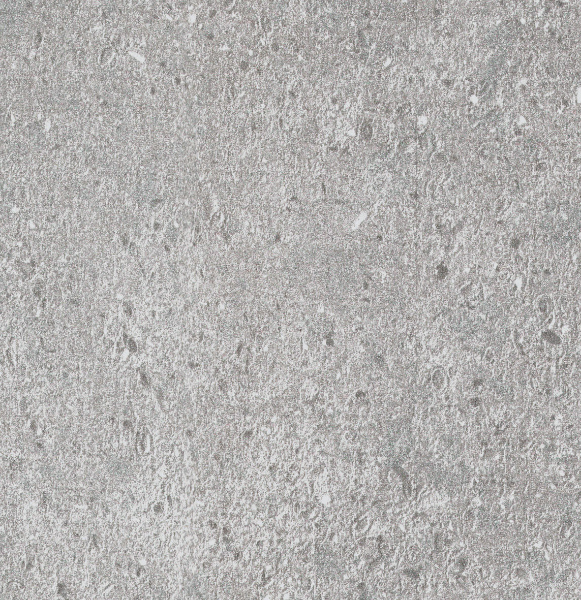 3055 Jupiter Moon Web