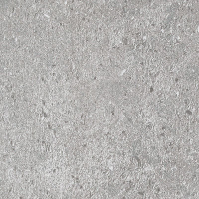 3055 Jupiter Moon Web