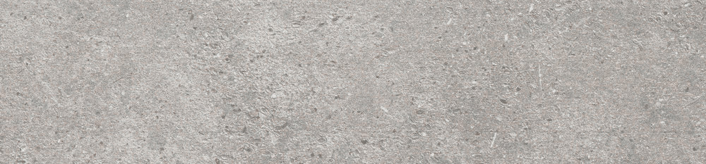 3055 Jupiter Moon Web