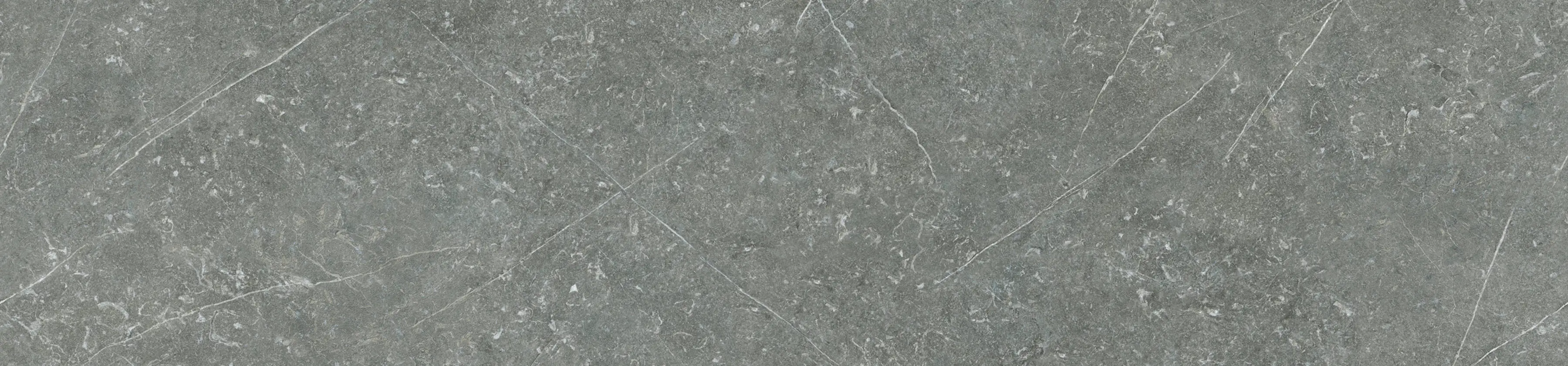 3047 Carniglia Hel Web