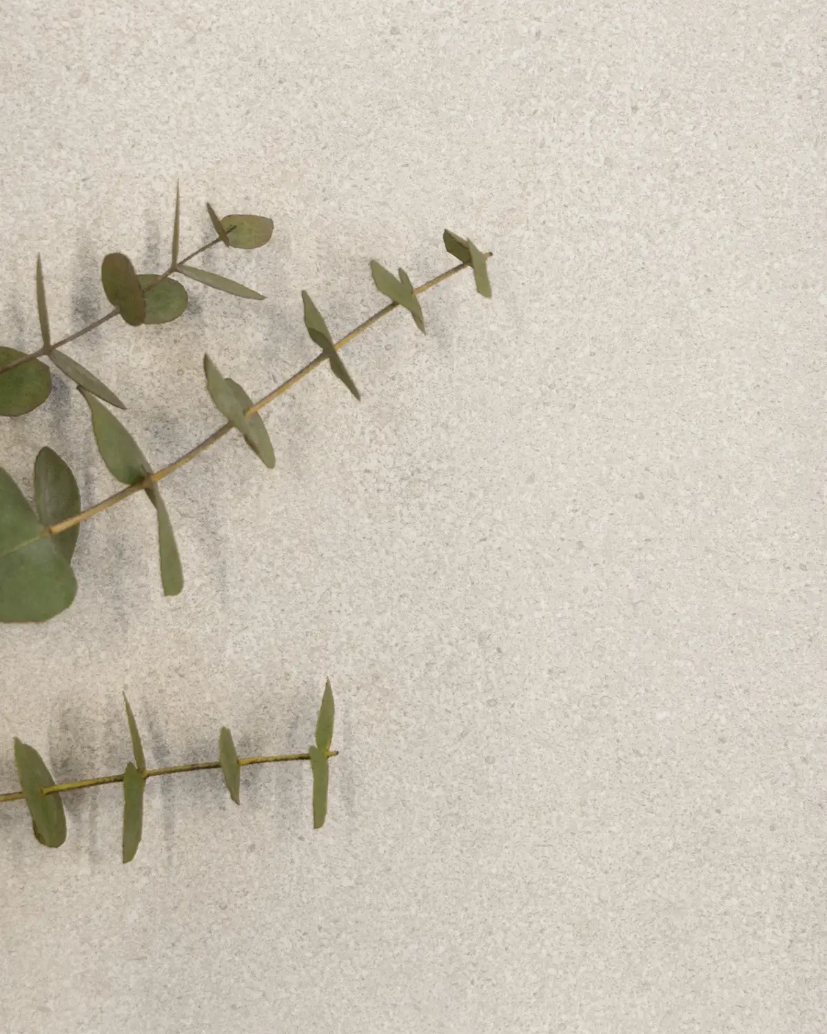 LG Coll Dune Sand 3061