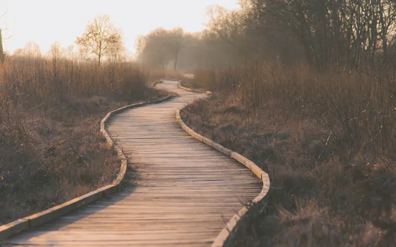 Path 1839000